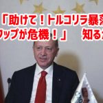 韓国「助けて！トルコリラ暴落で通貨スワップが危機！」　知るかよｗ